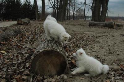 Dec2_04_479.JPG