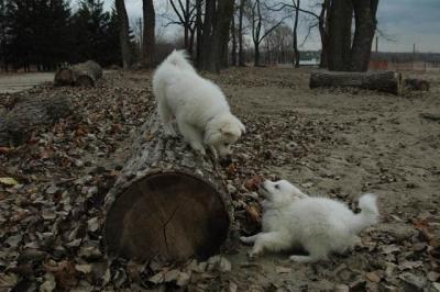 Dec2_04_480.JPG