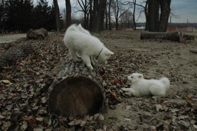 Dec2_04_481.JPG