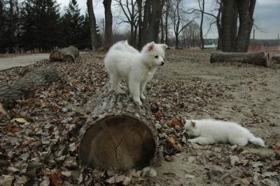 Dec2_04_482.JPG