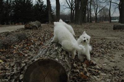 Dec2_04_483.JPG