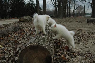 Dec2_04_485.JPG