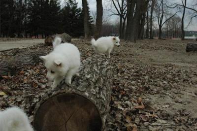 Dec2_04_487.JPG