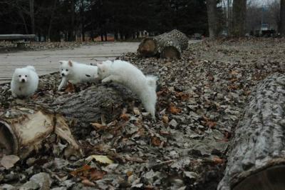 Dec2_04_493.JPG