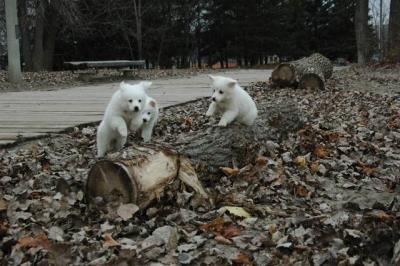 Dec2_04_494.JPG