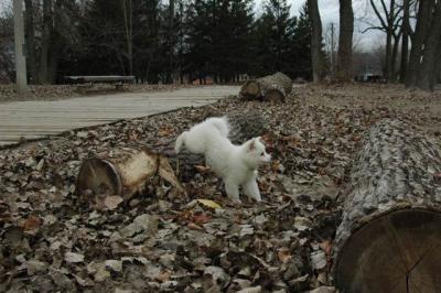Dec2_04_498.JPG