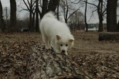 Dec2_04_503.JPG