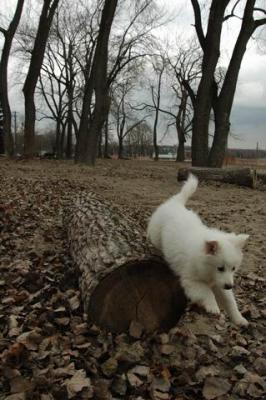 Dec2_04_507.JPG