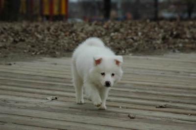 Dec2_04_509.JPG
