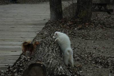 Dec2_04_513.JPG