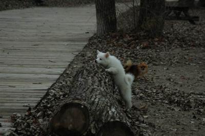 Dec2_04_515.JPG