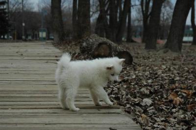 Dec2_04_523.JPG