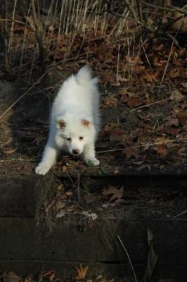 Dec3_04_068.JPG