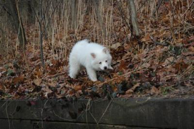 Dec3_04_069.JPG