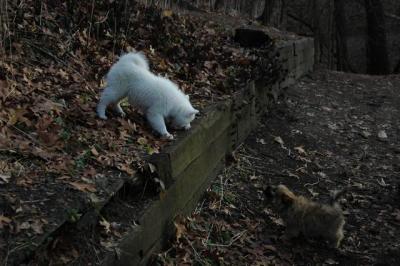 Dec3_04_076.JPG