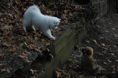Dec3_04_077.JPG