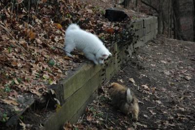 Dec3_04_078.JPG