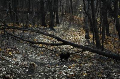 Dec3_04_158.JPG