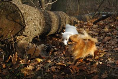 Dec3_04_239.JPG