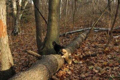 Dec3_04_337.JPG