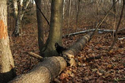 Dec3_04_338.JPG