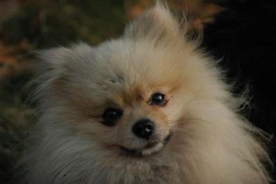 Dec3_04_630.JPG