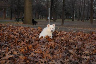 Dec3_04_647.JPG