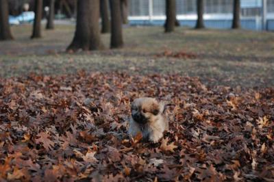 Dec3_04_688.JPG