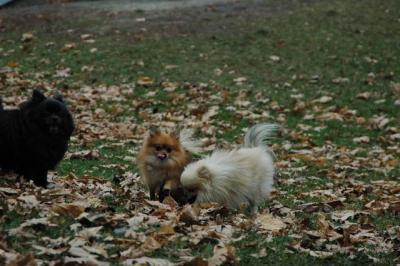 Dec4_04_003.JPG