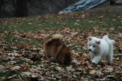 Dec4_04_005.JPG