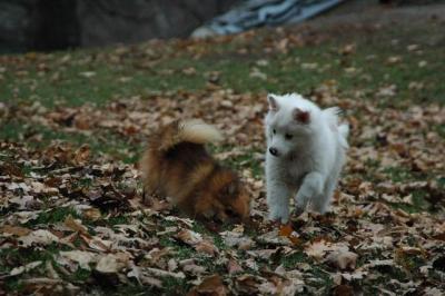 Dec4_04_006.JPG