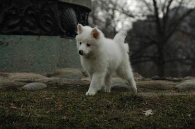 Dec4_04_019.JPG