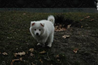 Dec4_04_027.JPG