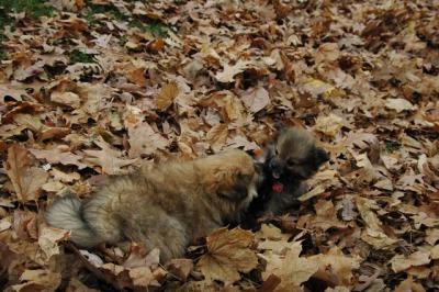 Dec4_04_076.JPG