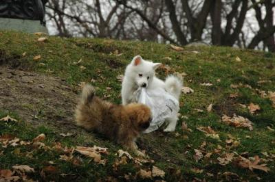 Dec4_04_111.JPG