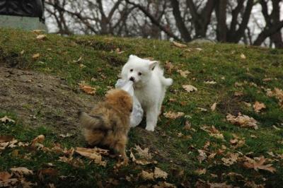 Dec4_04_112.JPG
