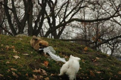 Dec4_04_125.JPG