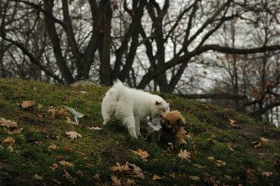 Dec4_04_127.JPG