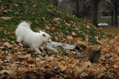 Dec4_04_134.JPG