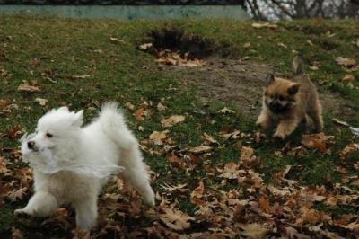 Dec4_04_139.JPG