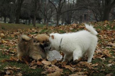 Dec4_04_144.JPG