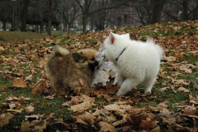 Dec4_04_145.JPG