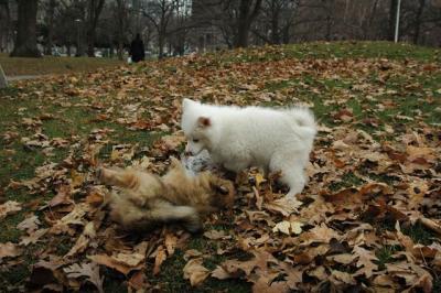 Dec4_04_149.JPG