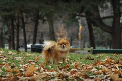 Dec4_04_227.JPG