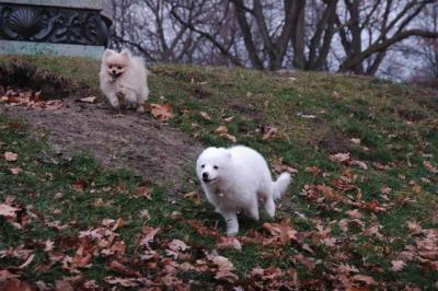 Dec4_04_245.JPG