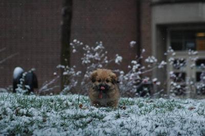 Dec11_04_123.JPG
