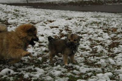 Dec12_04_050.JPG