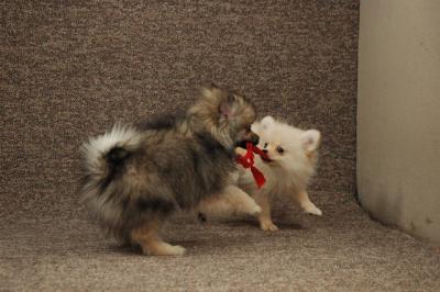 Feb22a_05_035.JPG