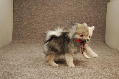 Feb22a_05_037.JPG