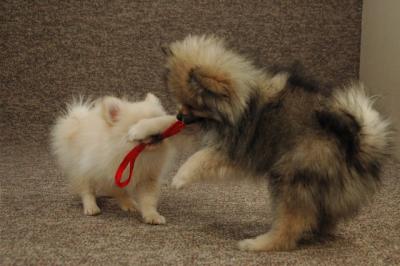 Feb22a_05_045.JPG